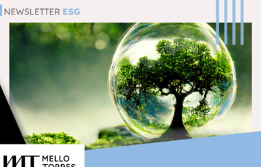 Newsletter ESG | A 16ª Conferência das Partes da Convenção das Nações Unidas sobre Diversidade Biológica (COP 16) | Mello Torres